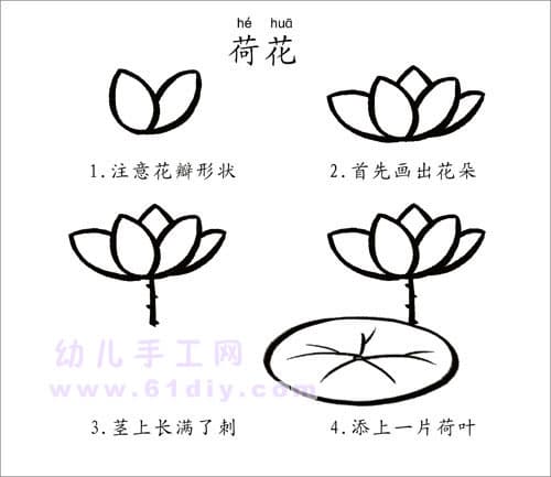 荷花简笔画