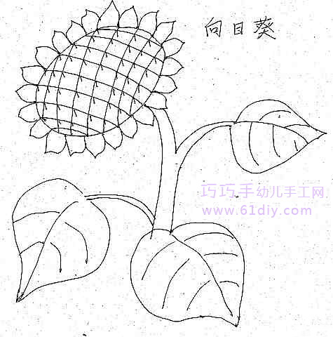 花的简笔画_花草简笔画_巧巧手幼儿手工网