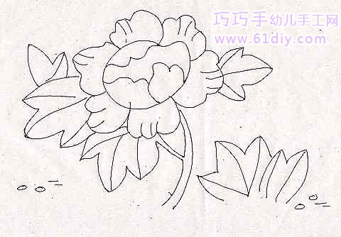 牡丹花简笔画