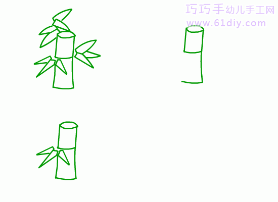 植物简笔画——竹子
