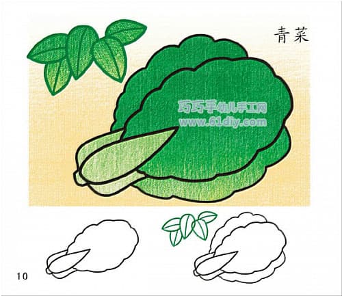 幼儿绘画——青菜的画法