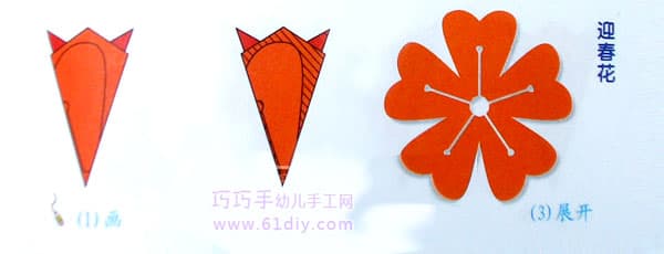 迎春花剪纸纹样（五角折剪）