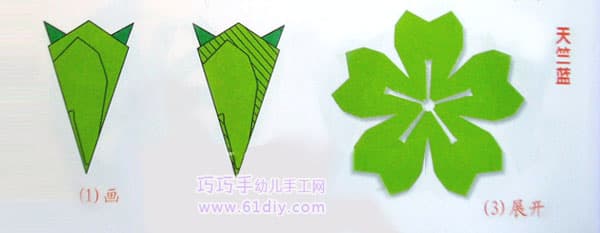 五瓣花剪纸——天竺蓝剪纸纹样（五角折剪）