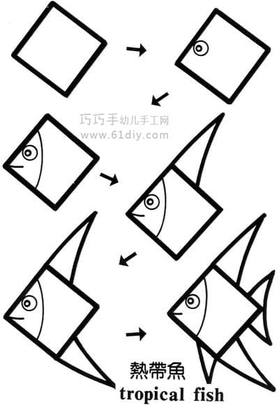 动物简笔画——热带鱼（方形变变变）