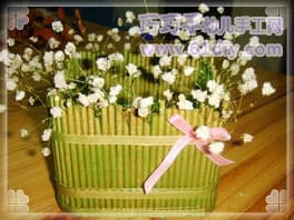 筷子花盆