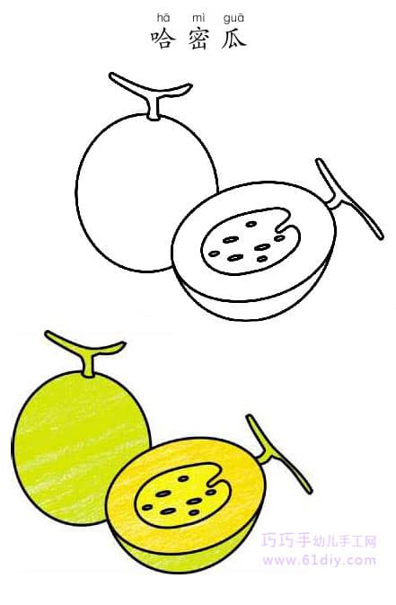哈密瓜的简笔画和涂色（水果类）