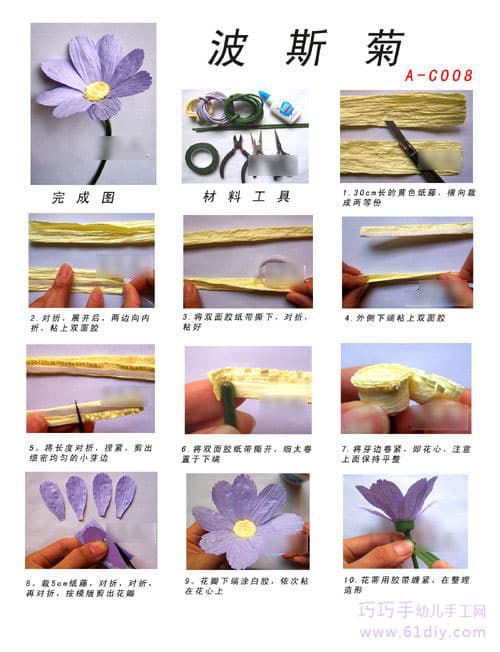 手工制作波斯菊