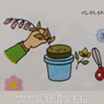 手工制作干花盆景