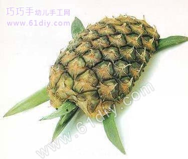 水果手工——菠萝乌龟