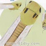 蝗虫手工制作教程