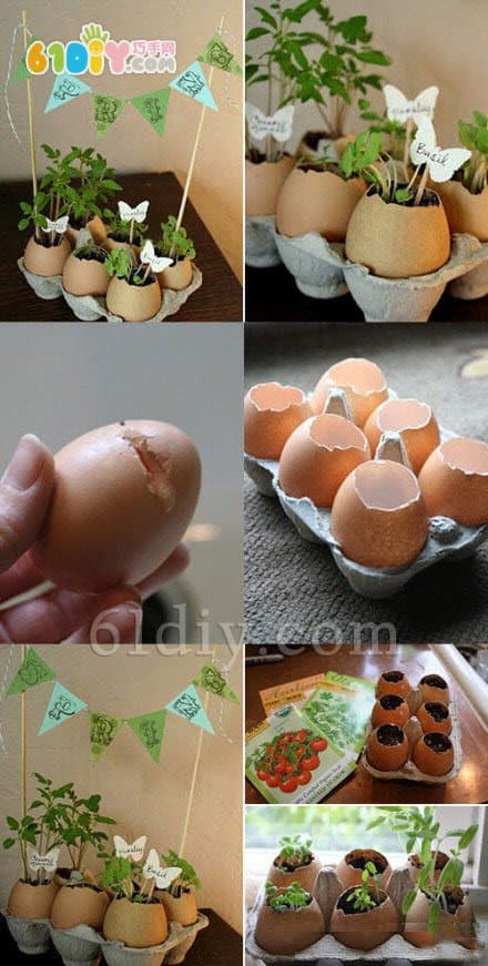 手工制作鸡蛋壳盆栽