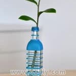 创意生活DIY花瓶