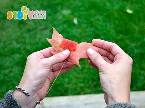 树叶DIY制作玫瑰花