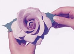 粘土手工制作玫瑰花