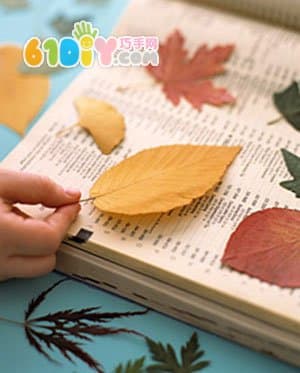 树叶制作字母卡片手工
