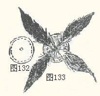 三种毽子的制作方法