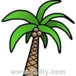 怎样画椰子树