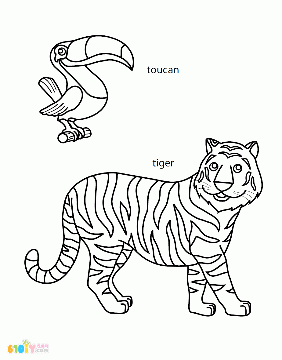 动物填色图 巨嘴鸟和老虎