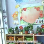 幼儿园植物角布置