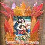 秋天儿童手工制作 美丽的树叶相框