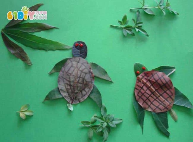 乌龟树叶贴画图片