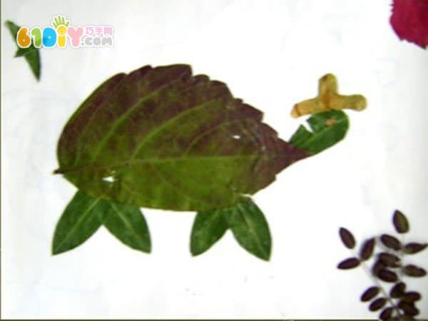乌龟树叶贴画图片
