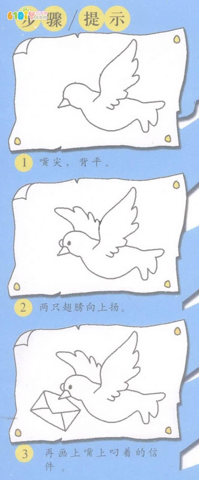 鸽子的画法