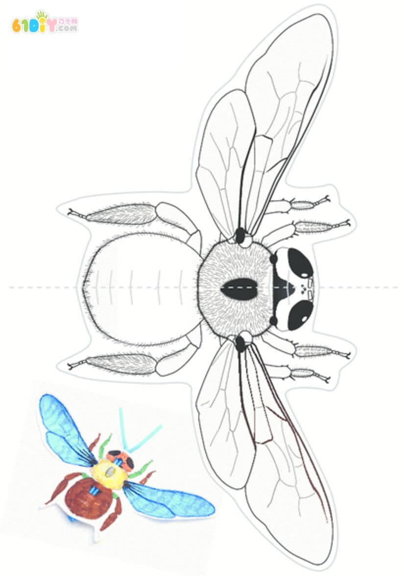 儿童小创意 四款昆虫手工——蝴蝶、蜻蜓、苍蝇、天牛