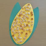 燕麦圈DIY制作玉米贴画
