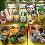 幼儿园春天植物角布置案例