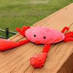 儿童手工制作贝壳大螃蟹