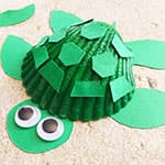 夏天儿童手工制作贝壳乌龟