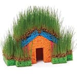 DIY有趣的草种小房子