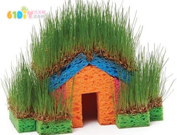 DIY有趣的草种小房子