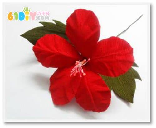 手工花教程 皱纹纸芙蓉花制作
